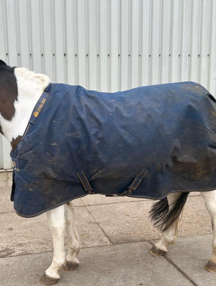 Bucas Irish Turnout Extra 5’6, Dieren en Toebehoren, Paarden en Pony's | Dekens en Dekjes, Gebruikt, Deken, Ophalen of Verzenden