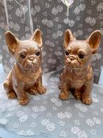 Mooie goud kleurige bull dog 35.00 p.s, Ophalen of Verzenden, Zo goed als nieuw, Dier