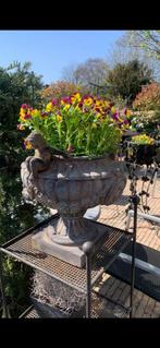 TE KOOP GEVRAAGD!, Tuin en Terras, Bloembakken en Plantenbakken, Ophalen of Verzenden, Rond, Kunststof, Minder dan 60 cm