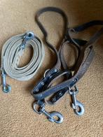 paardenleidsel/teugel, Dieren en Toebehoren, Verzenden, Gebruikt, Recreatie