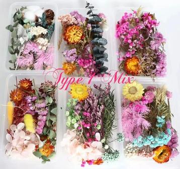 Gedroogde Natuurlijke Bloemen Mix in doos. Nagels/Nail art. beschikbaar voor biedingen