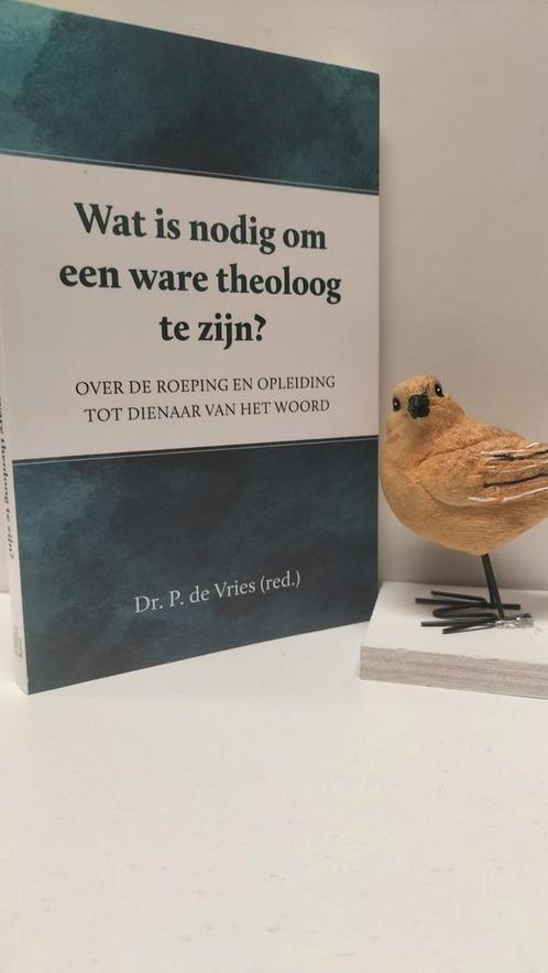 Vries, Dr. P. de; Wat is nodig om een ware theoloog te zijn, Boeken, Godsdienst en Theologie, Gelezen, Christendom | Protestants