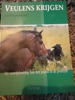 J. Loomans - Veulens krijgen, Ophalen of Verzenden, Zo goed als nieuw, J. Loomans