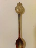 DE lepeltje Troonswisseling 2013 Nederlands Koningshuis., Verzamelen, Ophalen of Verzenden, Gebruikt, Nederland, Speld(je) of Lepel(tje)