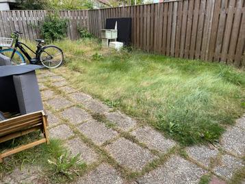 GEZOCHT gratis hulp voor Aziatische tuin wens beschikbaar voor biedingen