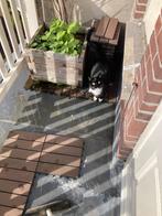 Balkontegels 30x30cm - 3,2 m2, Ophalen, Gebruikt, Kunststof