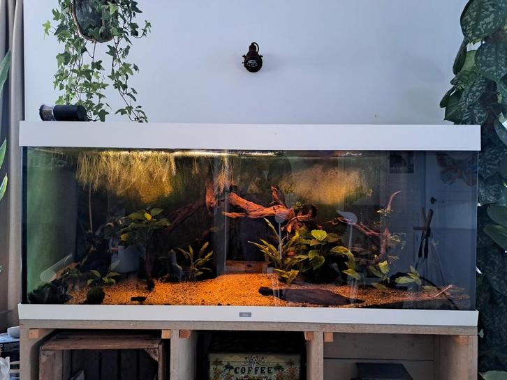 Juwel Rio 450 wit zeer compleet, Dieren en Toebehoren, Vissen | Aquaria en Toebehoren, Leeg aquarium, Ophalen