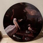 Vogels foto kunst plaat 70 cm, Ophalen of Verzenden