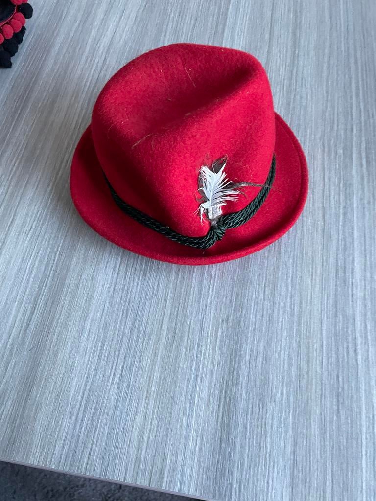 Rood Carnavalshoedje met Veer, Ophalen of Verzenden, Zo goed als nieuw, 55 cm (S, 6⅞ inch) of minder, Hoed