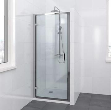 Douchedeur Bruynzeel type Lector 2 100x200 beschikbaar voor biedingen