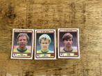 Voetbalplaatjes Panini voetbal 80 Fc den haag, Verzamelen, Sportartikelen en Voetbal, Ophalen of Verzenden, Zo goed als nieuw