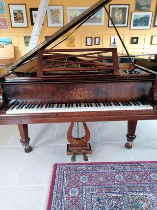 Erard vleugel topconditie, 1849, Hobby en Vrije tijd, Overige Hobby en Vrije tijd, Zo goed als nieuw, Ophalen of Verzenden