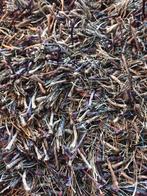 Design Tapijt paars - 2x3 meter, Huis en Inrichting, Stoffering | Tapijten en Kleden, Ophalen, Overige kleuren, 200 cm of meer