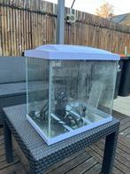 Aquarium klein, Dieren en Toebehoren, Vissen | Aquaria en Toebehoren, Ophalen, Gebruikt, Leeg aquarium