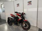 MV Agusta DRAGSTER RC SCS (bj 2024 model 2025), Bedrijf, Onbekend, Naked bike, Onbekend