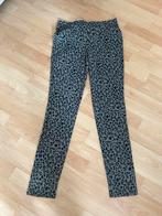 Jane Lushka broek maat M, Ophalen of Verzenden, Zo goed als nieuw, Maat 38/40 (M), Zwart