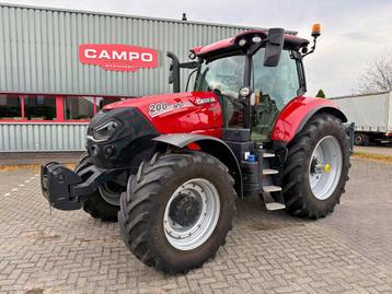 Case IH Puma 200 CVX STAGE V beschikbaar voor biedingen