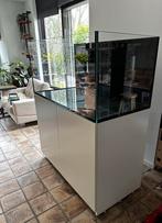 Red sea reefer 425 system g2+ wit, Dieren en Toebehoren, Ophalen of Verzenden, Zo goed als nieuw, Leeg aquarium