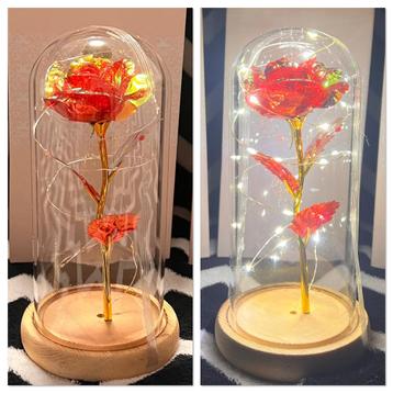 Rode roos in stolp met licht - nieuw in verpakking 