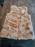 Dames jasje maat staat op de foto, Kleding | Dames, Bodywarmers, Ophalen of Verzenden, Zo goed als nieuw, Maat 38/40 (M)