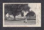 Suriname Paramaribo Donderdags Gouvernementsplein 1905., Gelopen, Buiten Europa, Ophalen, Voor 1920