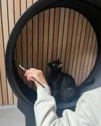Petluxe katten loopwiel, Dieren en Toebehoren, Katten-accessoires, Ophalen, Zo goed als nieuw