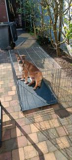 Grote antracietgrijze hondenbench, Ophalen, Gebruikt