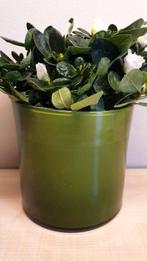 Bloempot, groen, hoogte 13cm, binnen diameter 12,5cm, nieuw!, Tuin en Terras, Bloempotten, Rond, Ophalen of Verzenden, Aardewerk