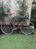 Bianchi Edoardo Fixed Gear Fiets - Solebox x Adidas Limited, Minder dan 10 versnellingen, Zo goed als nieuw, 57 tot 61 cm, Ophalen