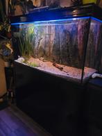 Aquarium 120x70x50, Ophalen, Gebruikt, Gevuld zoetwateraquarium