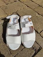 Prachtige Schoenen Maat 38 - Nieuw!, Kleding | Dames, Schoenen, Wit, Nieuw, Sandalen of Muiltjes, Ophalen of Verzenden