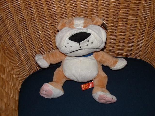 BEARENBOYS HOND VELOURS BEIGE/WIT MET ROZE ONDERKA, Kinderen en Baby's, Speelgoed | Knuffels en Pluche, Ophalen of Verzenden, Nieuw