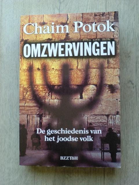 Chaim Potok - Omzwervingen, Boeken, Geschiedenis | Wereld, Nieuw, Europa, Ophalen of Verzenden