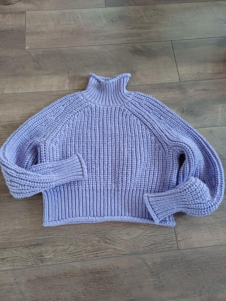 leuke paarse H&M trui 36, Ophalen of Verzenden, Nieuw, Maat 36 (S), Paars