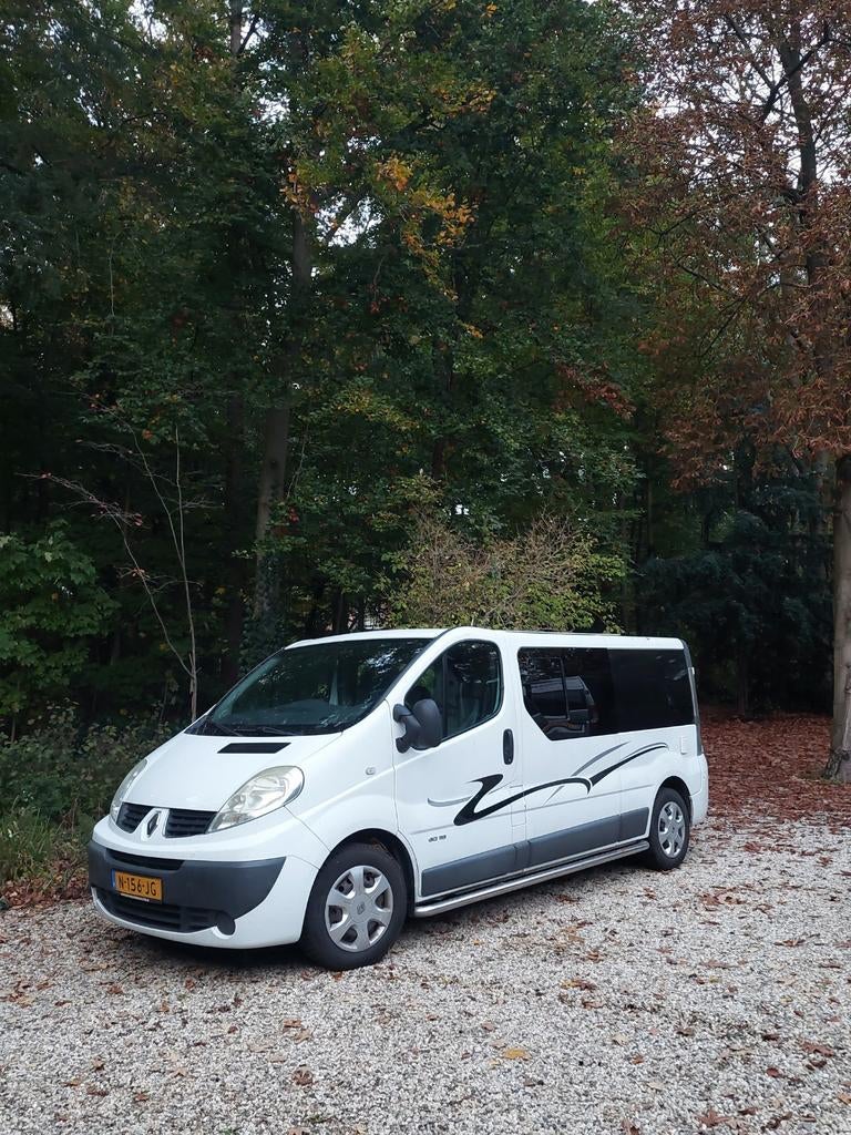 Camperbus Renault Trafic, Overige merken, Dakluik, Tot en met 2, Diesel