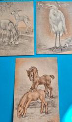 3 x kaart witte reiger veulen ezels Swildens, Ophalen of Verzenden, 1960 tot 1980, Ongelopen, Overige soorten