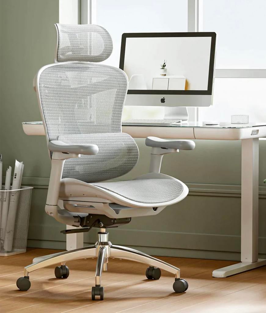 Nieuw Sihoo Doro C300 Bureaustoel, Ophalen, Nieuw, Grijs, Bureaustoel