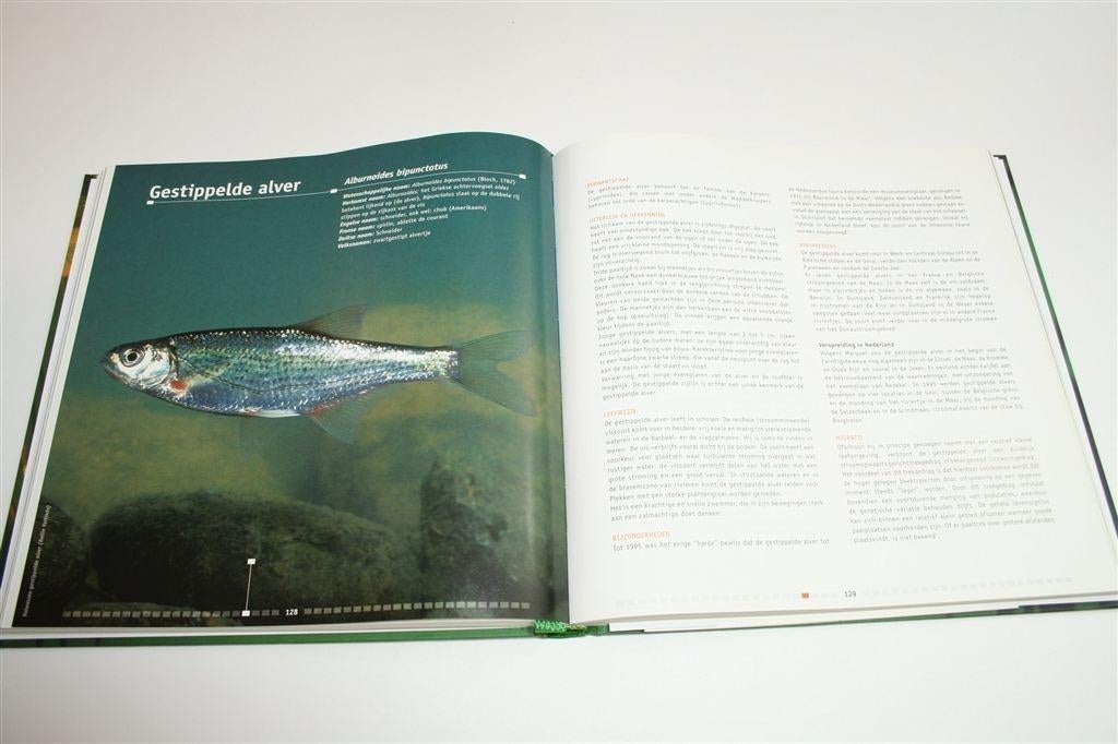 De Zoetwatervissen van Nederland — Ecologisch Bekeken, Boeken, Ophalen of Verzenden, Zo goed als nieuw, Honden