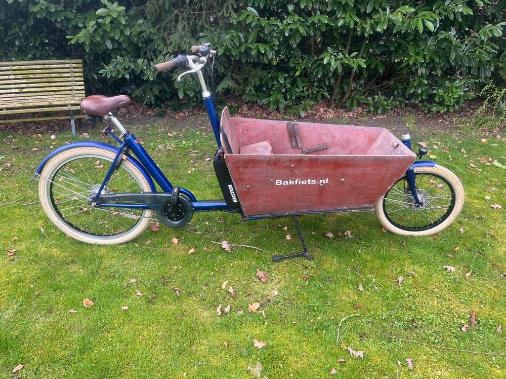 Elektrische bakfiets met nieuwe accu., Ophalen, Gebruikt, 2 kinderen, Elektrisch