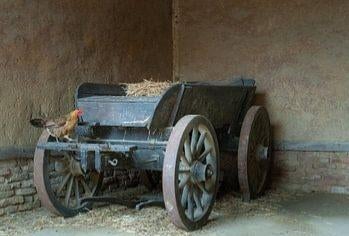 Staat er een oude boerenkar in uw schuur?, Ophalen of Verzenden