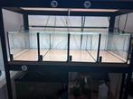 4x Aquarium bakken 40x20x20 met lamp, Dieren en Toebehoren, Vis