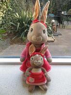 XXL konijn Lily van Peter Rabbit meten ca 50 cm en 26 cm, Kinderen en Baby's, Speelgoed | Knuffels en Pluche, Ophalen of Verzenden