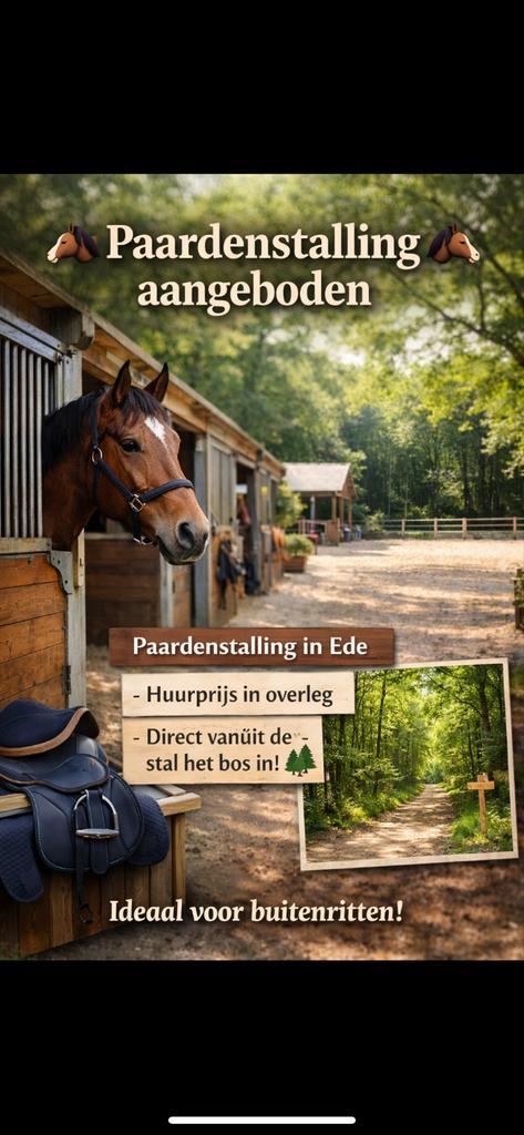 Paardenstalling aangeboden, Dieren en Toebehoren, Stalling en Weidegang, Stalling, 4 paarden of pony's of meer