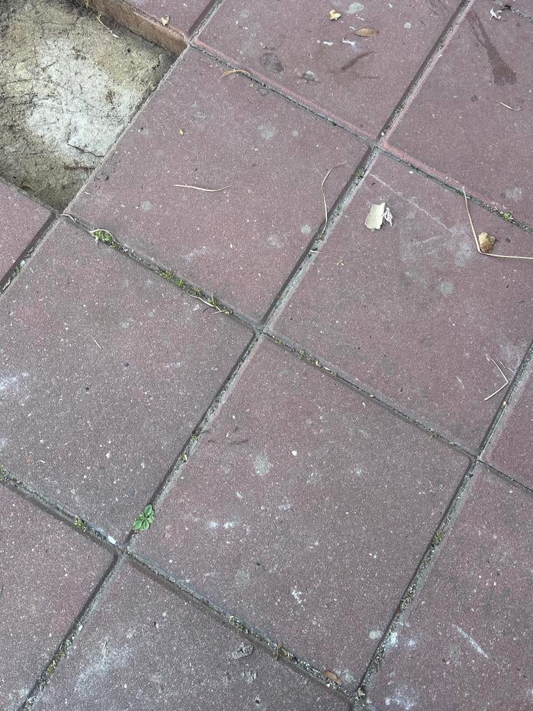 Gratis 30x30 rode straatstenen - Ophalen, Gebruikt, Ophalen of Verzenden, 10 m² of meer, Beton