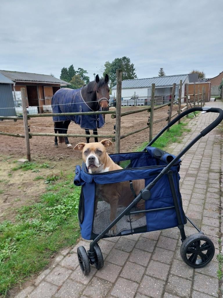hondenbuggy, Dieren en Toebehoren, Ophalen of Verzenden, Zo goed als nieuw