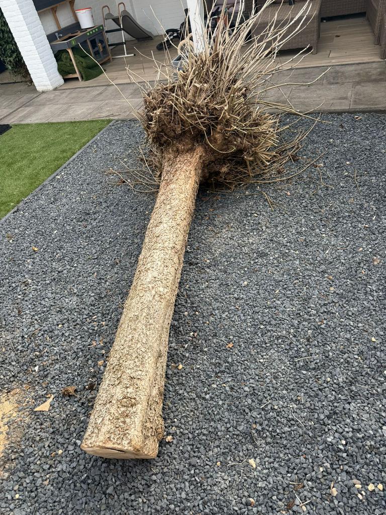 Gratis haard hout, Tuin en Terras, Haardhout, Minder dan 3 m³, Ophalen of Verzenden