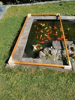 Goudvissen en Hozelock Cascade 700 Fonteinpomp, Tuin en Terras, Vijvers, Ophalen of Verzenden