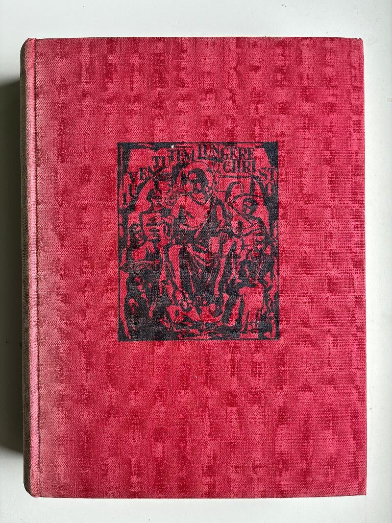 Jeugdopvang, Gelezen, Linus Bopp, Ophalen of Verzenden, Ontwikkelingspsychologie