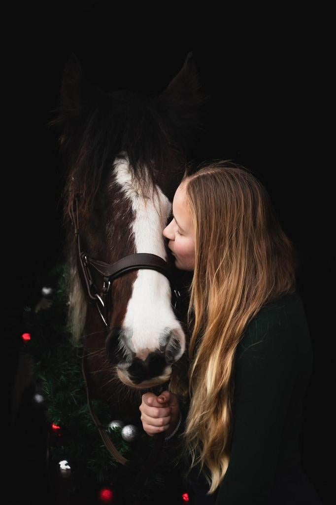 VERZORGPONY GEZOCHT, Dieren en Toebehoren, Ophalen of Verzenden