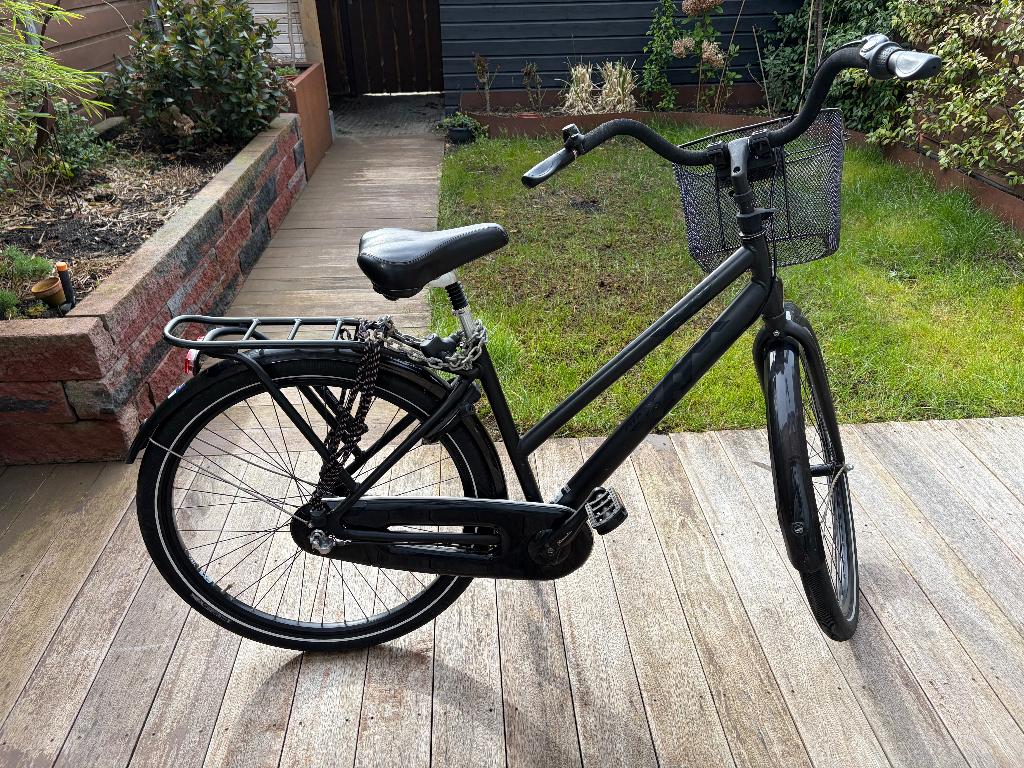 Giant Triple X City/Trekking Bike Dames Fiets, Fietsen en Brommers, Fietsen | Dames | Damesfietsen, Ophalen, Terugtraprem, 53 tot 56 cm